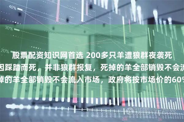 股票配资知识网首选 200多只羊遭狼群夜袭死亡！牧民回应：大部分因踩踏而死，并非狼群报复，死掉的羊全部销毁不会流入市场，政府将按市场价的60%补偿